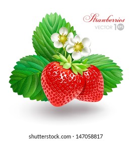 Strawberry with leaves and flowers. Vector Eps 10.