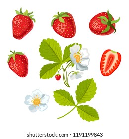 Strawberry Flowers Images Stock Photos Vectors Shutterstock