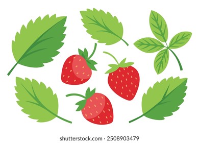 
Strawberry with Leaves set isolated flat vector illustration on white background