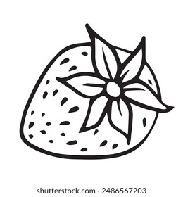 Strawberry with leaves sketch Hand drawn doodle vector illustration isolated on white background. Berry icon for logotype, poster, flyer, banner, menu, cookbook, infographic design.