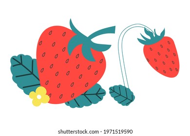 Strawberry with leaves. Summer concept.