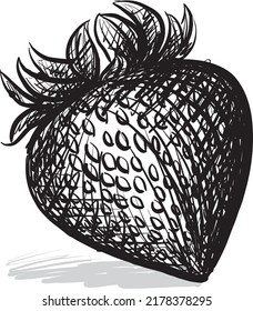 strawberry with leaves vector illustration stroke brush