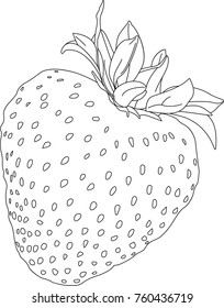 Strawberry Line Drawing