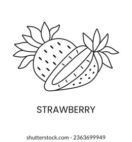 Strawberry line icon in vector, berry illustration.