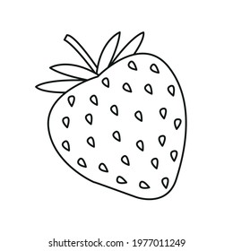 Strawberry line icon vector symbol