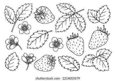 Línea de fresa. Las bayas negras y blancas dejan flores. fresas dibujadas a mano para la página del libro de colorear, esténcil de raspar, tarjeta de foil diy, estampado de uñas, grabado láser, alfiler de insignia, etiqueta de etiqueta de fruta