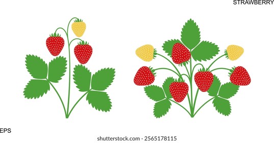 Strawberry logo. Isolated strawberry on white background