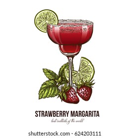 Strawberry Margarita cocktail with berries and mint leaves, vector illustration, colored hand drawn sketch