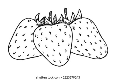 Strawberry monochrome line sketch. Fresh ripe mellow berries isolated on white background. Coloring book for children and adults. Wild strawberries bundle for magazine, card, menu, web pages, labels