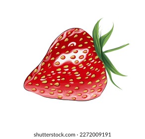 Strawberry from multicolored paints. Splash of watercolor, colored drawing, realistic. Vector illustration of paints