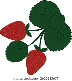 fresa en la Imagen de rama, fresa en la Imagen de fondo de rama, fresa con hojas