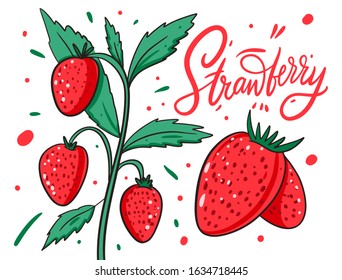 Strawberry on a branch. Vector illustration and lettering in doodle style. Isolated on white background. Design for poster, banner, menu, market and web.