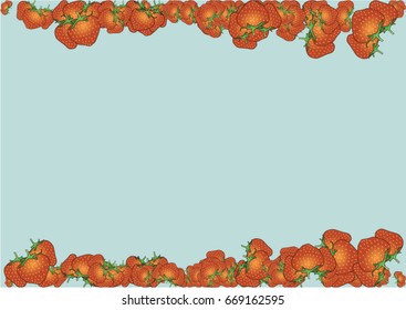Strawberry on a colored background