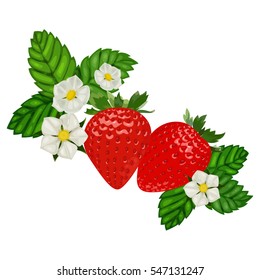 Strawberry on White Background. Ripe and Juicy 