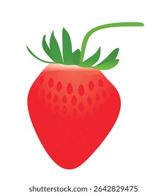 Strawberry on white background, vector	

