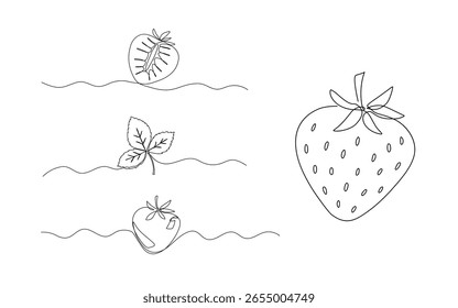 Strawberry one line illustrations set, continuous line isolated sketch, berry and leaves doodle