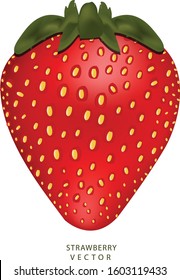 Strawberry One piece Vector Ai