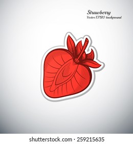strawberry outline color icon vector illustration