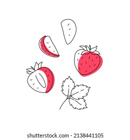 Strawberry outline doodle with spots. Whole, pieces, seed and leaves