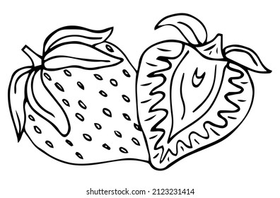 Strawberry outline illustration. Vector hand drawn outline fruit icon.