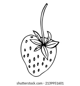 Strawberry Outline Vector Black Line Fruit Stock Vector (Royalty Free ...