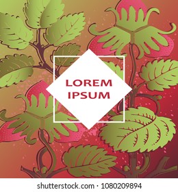 Strawberry pattern design templates product. Hand drawn red berry. Cute trendy dark background blossom greenery bush. Graphic illustration wedding, invitation, poster, card, cover, product vector