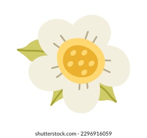 Strawberry plant with berries and flowers vector flat illustration