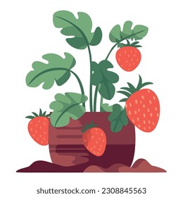 strawberry plant design over white