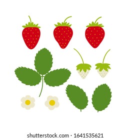 Strawberry plant drawing with leaves, berries and flowers. Cute cartoon flat design isolated on white. Vector illustration.