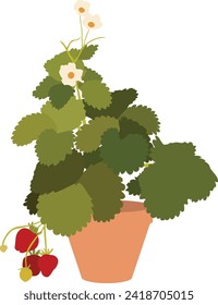 Strawberry Plant Flat Vector Illustration