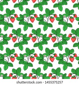 Strawberry - plant, flower and berries. Seamless pattern, red and green. Vector illustration, hand drawn.