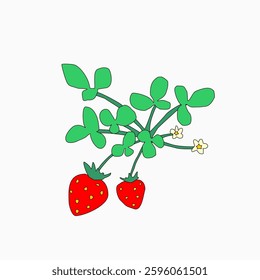 Strawberry plant freehand drawing vector