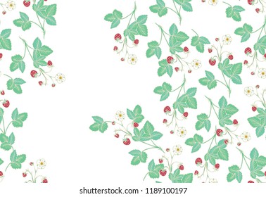 Strawberry plant with fruits and flowers