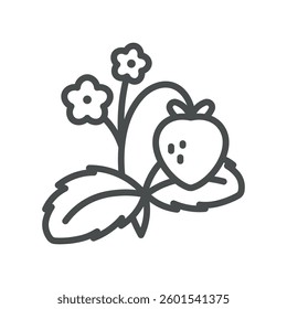 Strawberry Plant Icon. Line Strawberry Bush Plant on White Background. Strawberry Bush with Leaves and Flowers Fruit Agriculture Vector Symbol