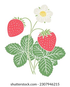 Strawberry plant with leaves, one flower, and two berries