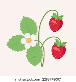 Strawberry plant. Red berries, flower and leaves. Flat vector illustration.