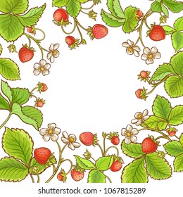 strawberry plant vector frame