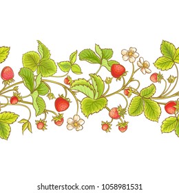 strawberry plant vector pattern