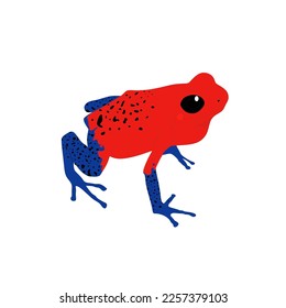  Rana de dardo con veneno de fresa, rana venenosa azul jeans, Dendrobates pumilio. Diseño vectorial de rana, imagen png con fondo transparente