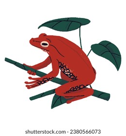 Strawberry poison dart frog. Venomous forest froggy with cold red skin sits on branch. Rainforest toad, amphibian animal. Wild tropical fauna. Flat isolated vector illustration on white background