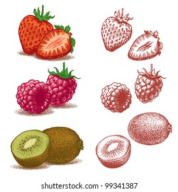 Strawberry, Raspberry And Kiwi. Vector version