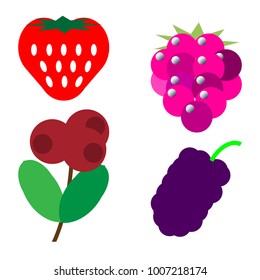 Strawberry, raspberry, lingonberry and mulberry image.