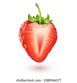 Strawberry realistic icon, vector art and illustration.