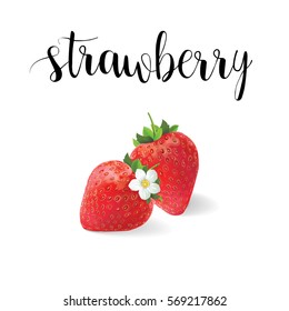 Strawberry realistic vector illustration of beautiful flowers berry