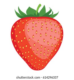 Strawberry. Red berry strawberry. Vector illustration.