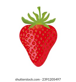 Frutos de verano rojos de fresa sobre fondo blanco. Ilustración del vector EPS 10.