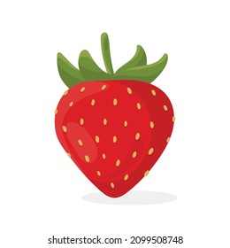 Frutos de verano rojos de fresa, fondo blanco. Ilustración gráfica vectorial. Impresión de café vegetariano, afiche, tarjeta. postre natural, orgánico dulce, berry fresca