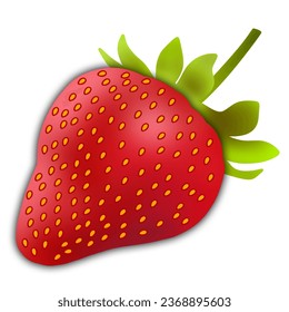 Frutos de verano rojos de fresa, fondo blanco. Impresión de café vegetariano, afiche, tarjeta. postre ecológico natural dulce y bayas frescas. Ilustración gráfica vectorial. Día nacional de la fresa 27 de febrero