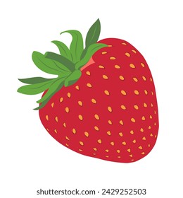 Strawberry. Red sweet berries. Hand drawn flat vector illustration isolated on white. Vector illustration