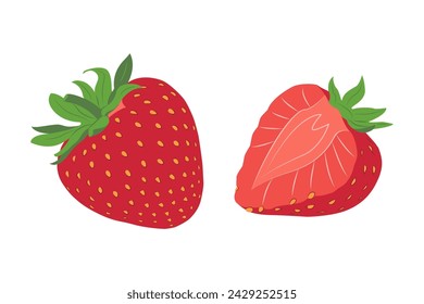 Strawberry. Red sweet berries. Hand drawn flat vector illustration isolated on white. Vector illustration